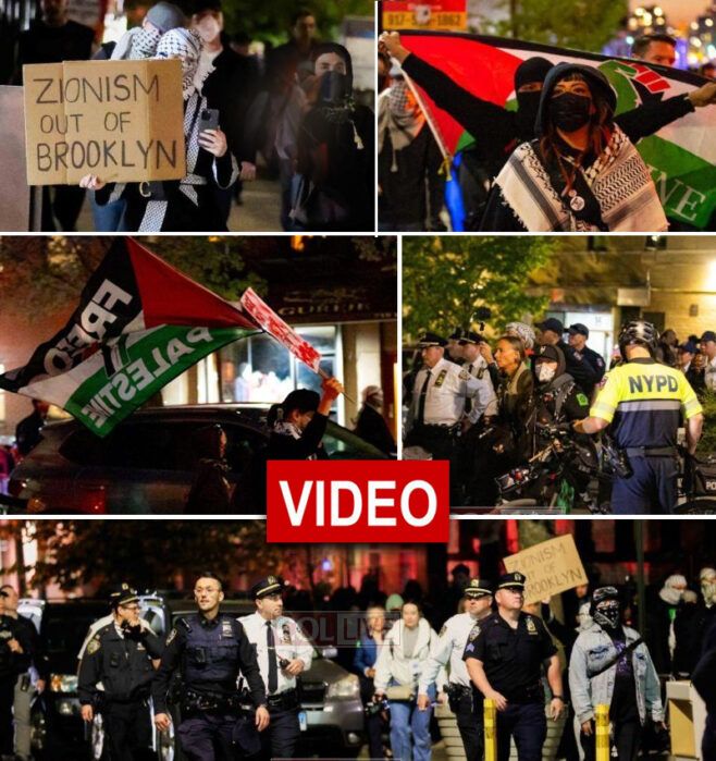 NYPD Redirects Pro-Palestinian Protest From Entering Crown Heights