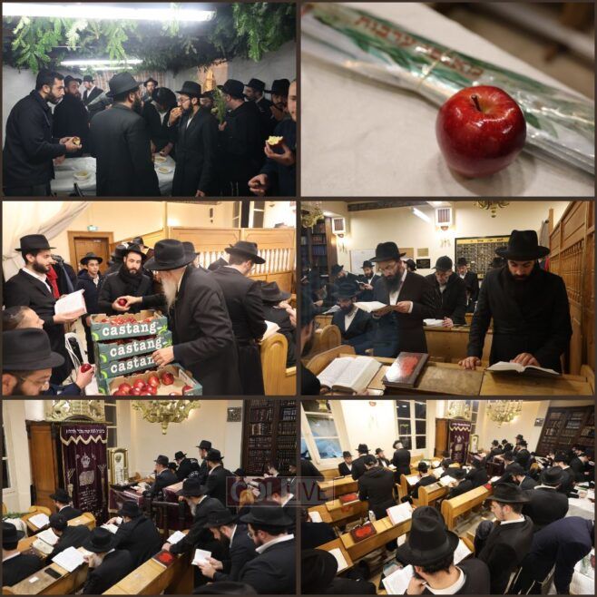 Hoshana Rabbah at the Rebbe’s Shul in Paris